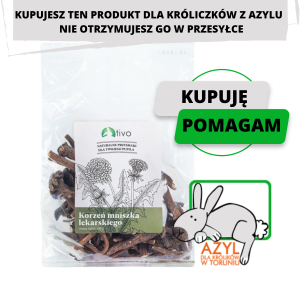 Korzeń mniszka 100g (dla AZYLU)