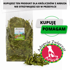 Liść Mniszka Lekarskiego 300g	(DLA ARBUZ ADOPCJE)