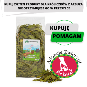 Babka lancetowata 100g (DLA ARBUZ ADOPCJE)