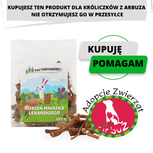 Korzeń Mniszka Lekarskiego 100g (DLA ARBUZ ADOPCJE)