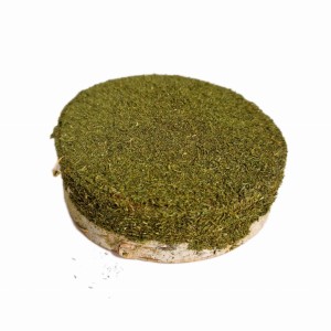 FACTORYHERBS Krążek brzozowy z kolendrą 