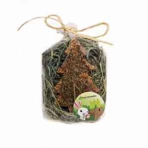 FACTORYHERBS Choinka z cykorii i kolendry