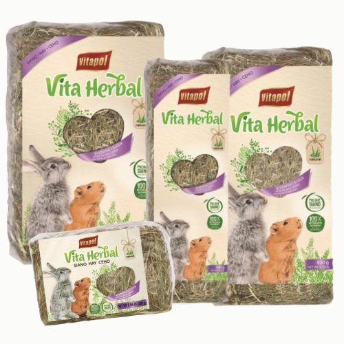 Brązowy Dymek Komiksowy Kawa Instagram Post (73).png