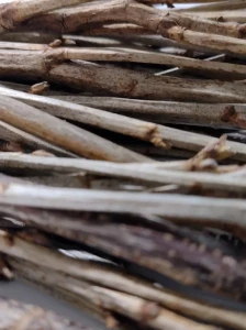 ŁODYGI CZARNEJ PORZECZKI 70g