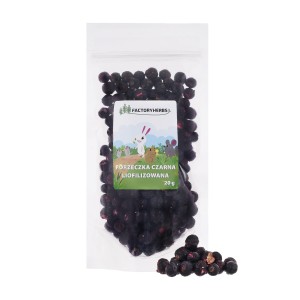 FACTORYHERBS Porzeczka czarna liofilizowana 20g