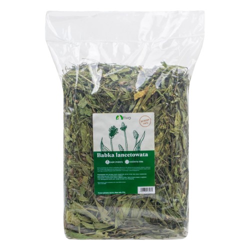 Babka lancetowata 600g.jpg