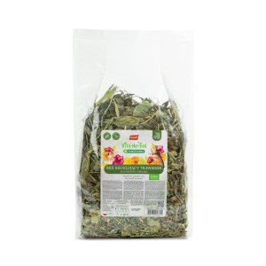 Vita Herbal Functional mix regulujące trawienie dla gryzoni i królika, 300g Vitapol