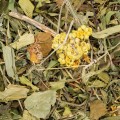 vita-herbal-functional-mix-wspierajace-prace-watroby-dla-gryzoni-i-krolika-300g.jpg