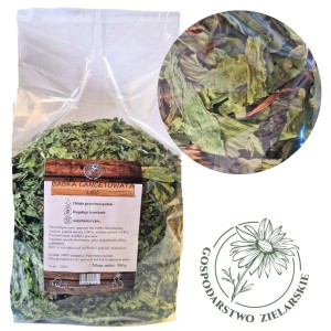  Babka lancetowata liść 500g GOSPODARSTWO ZIELARSKIE