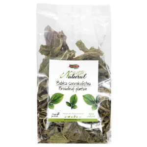 Alegia Natural Babka szerokolistna 100g