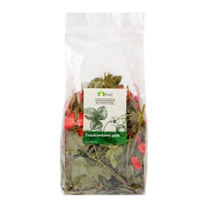 TIVO Truskawkowe pole - liść truskawki