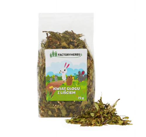 Zrzut ekranu 2022-04-12 205138.png