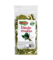 liscie-malin.webp