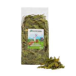 FACTORYHERBS Babka lancetowata 100g