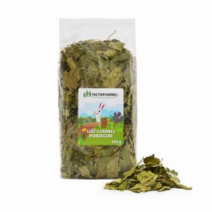 Liść czarnej porzeczki 100g FACTORYHERBS 