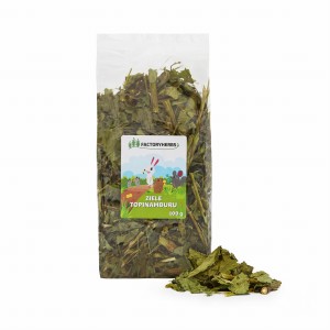 FACTORYHERB Ziele topinamburu100g 